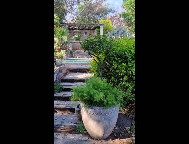 FARM FOR SALE IN BRITS RURAL